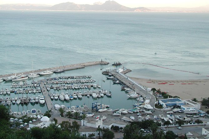1/2 day carthage & sidi bou said - Guides who add humor and flexibility