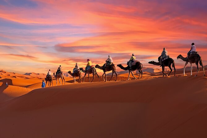 2-Day Tunisia Sahara Desert Camel Trek from Douz - Key points before you book