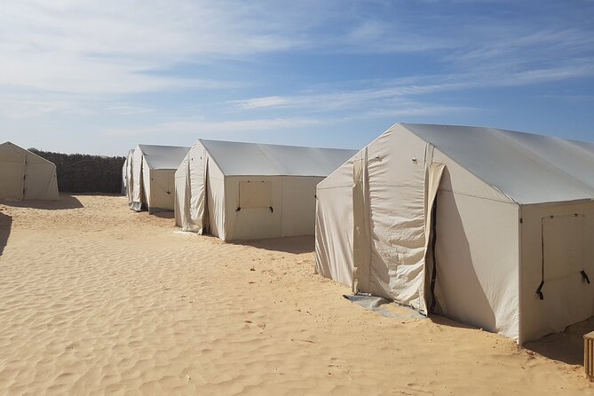 2-Day Tunisia Sahara Desert Camel Trek from Douz - Leaving Douz for the golden dunes