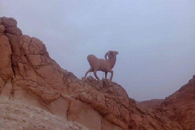 2 Days Tour of the Sahara from Hammamet - From Hammamet to El Jem’s Roman arena