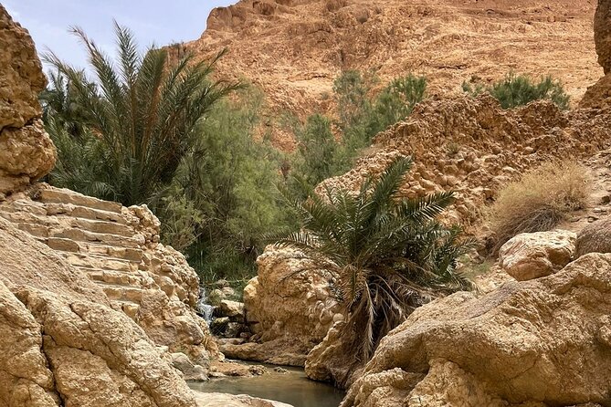 2 Days Tour of the Sahara from Hammamet - Tamerza waterfall before the long ride home