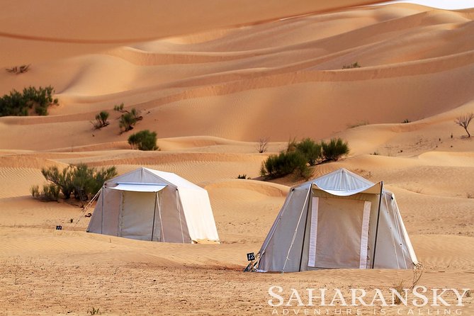 2 Days Tunisia Sahara Desert Buggy Safari Adventure - Key points to know before booking