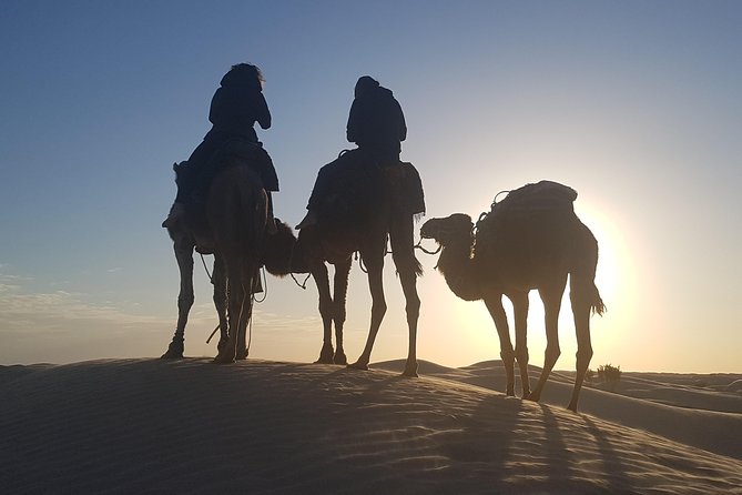 3-Day Tunisia Sahara Desert Camel Trek from Douz - Camp life, meals, and the night sky