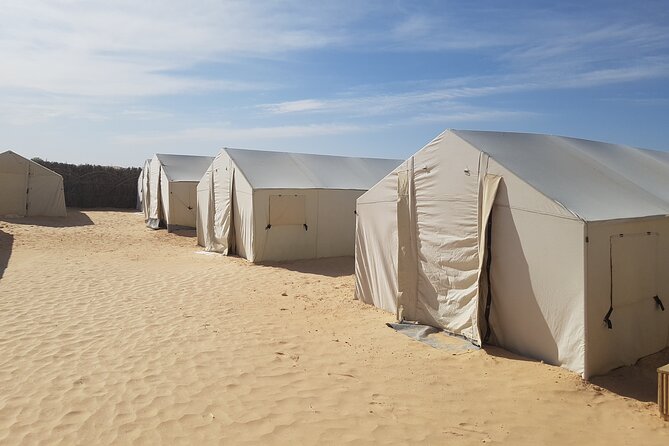 3-Day Tunisia Sahara Desert Camel Trek from Douz - How the $270 price measures up