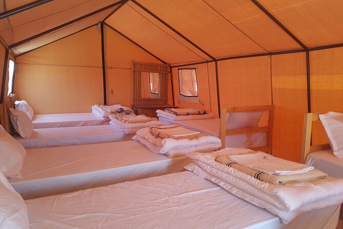 3-Day Tunisia Sahara Desert Camel Trek from Douz - Day 1: From Douz to your first desert camp
