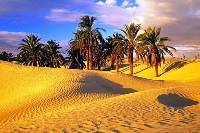 4-Day Private Tour: Sahara and Djerba Island from Tunis and Hammamet - Who will get the most from this tour