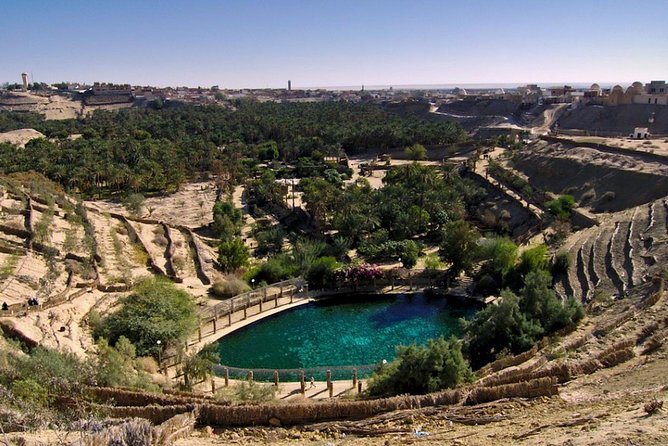 5 Days Tunisia Discovery Private Tour - Day five: Gabes and the return to Tunis