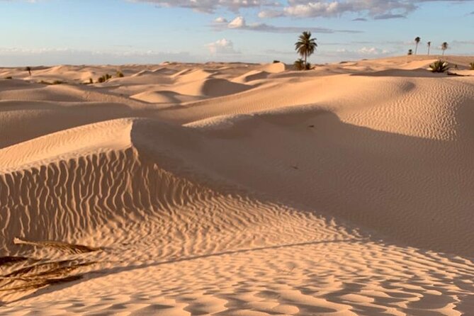 7 Day Guided Tunisia Tour Including Pickup - Key points at a glance