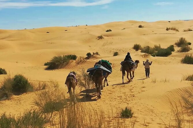 7-Day Northern South Tour from Tunis - Key points at a glance