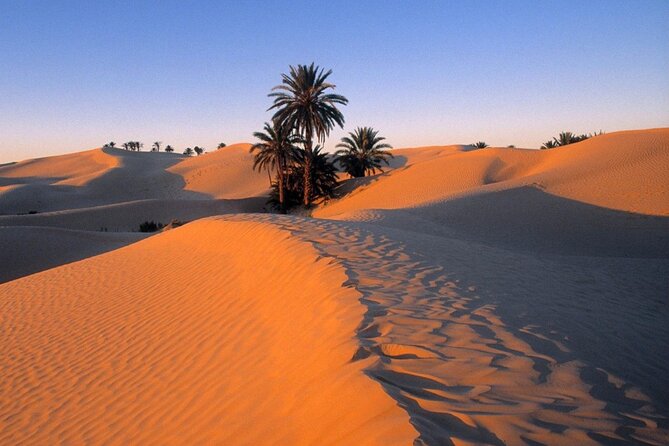 7-Day Northern South Tour from Tunis - Day 4: Tamerza and Chebika, then across Chott el Jerid