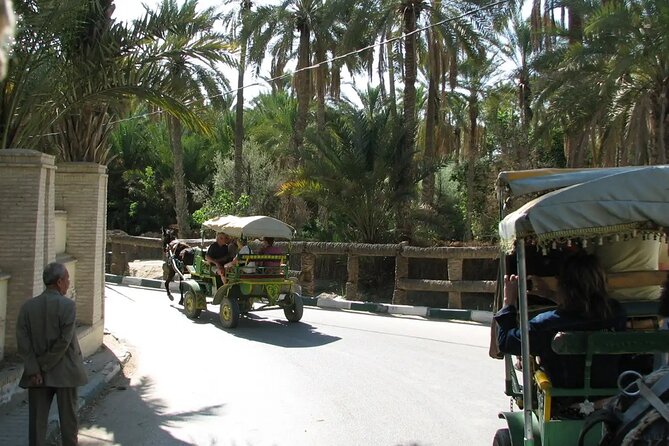 7-Day Northern South Tour from Tunis - Day 5: Warm water at Ksar Ghilane and the ksour of Tataouine