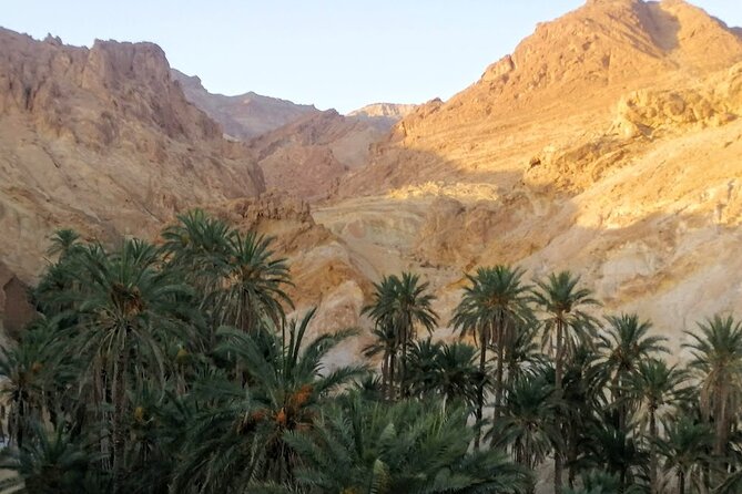 A Private Night at Desert Douz Tozeur - Guides, drivers, and the private touring style
