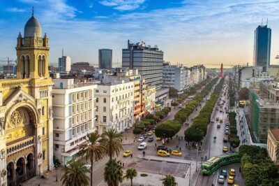 Airport Tunis Carthage Private Transfer to/from Hammamet