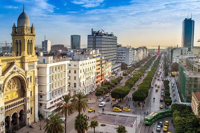 Airport Tunis Carthage Private Transfer to/from Hammamet - The ride to your Hammamet hotel