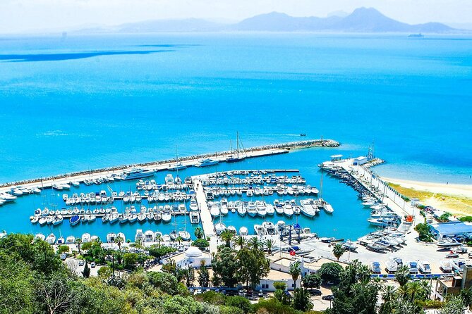 Ancient Carthage and Sidi Bou Said Half Day Tour with Lunch - Why Carthage and Sidi Bou Said work well together