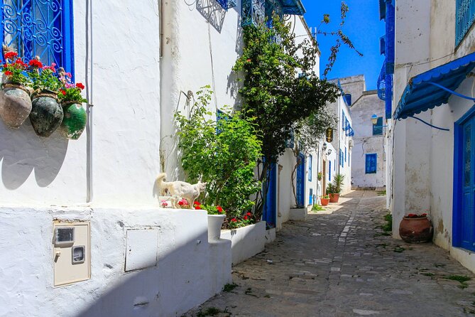 Ancient Carthage and Sidi Bou Said Half Day Tour with Lunch - Lunch and the reality of a group excursion