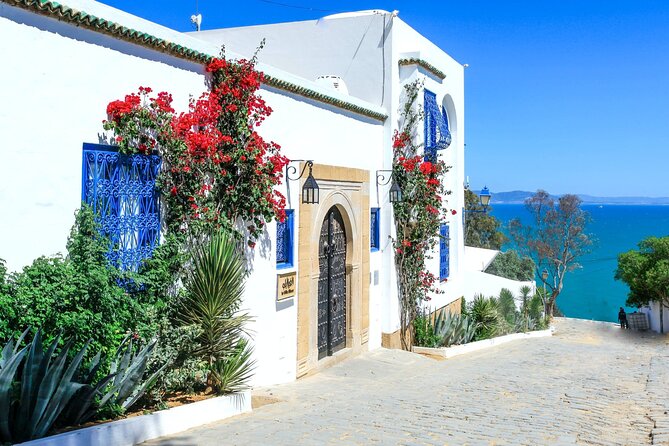 Ancient Carthage and Sidi Bou Said Half Day Tour with Lunch - Walking through Carthage’s Roman remains
