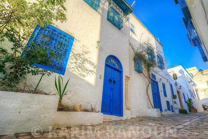 Bardo Museum- The ruins of Carthage- Village of Sidi Bou Said - Two Hours Inside the National Bardo Museum