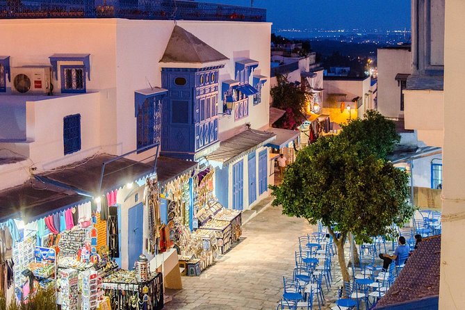 Bardo Museum- The ruins of Carthage- Village of Sidi Bou Said - What $152.69 Covers