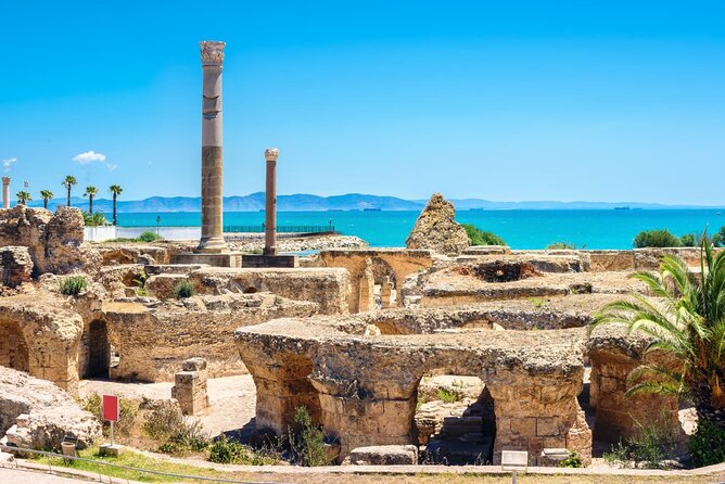 Bardo Museum with Medina, Carthage and Sidi Bou Private Tour - The Medina of Tunis: alleys, souks, and everyday life