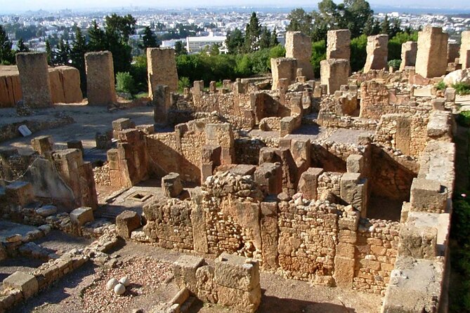 Bardo Museum with Medina, Carthage and Sidi Bou Private Tour - Carthage: two hours among ancient ruins