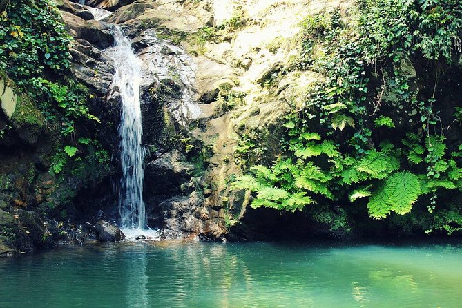 Bulla Regia and Beni Mtir Cascade Daytrip from Tunis - The guides are central to the experience
