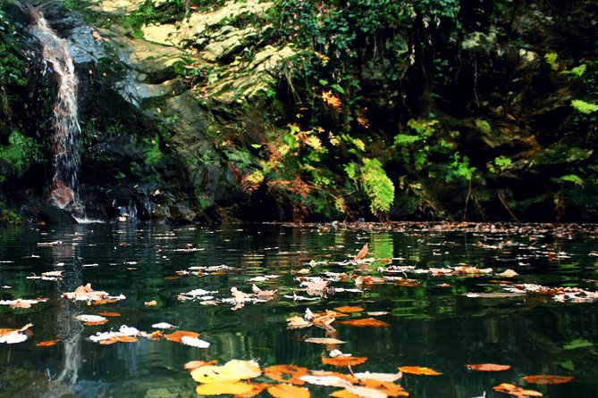 Bulla Regia and Beni Mtir Cascade Daytrip from Tunis - Who will enjoy this day trip most