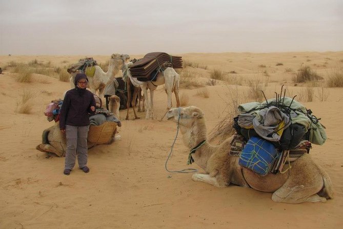 Camel ride and 1 night in the desert - Five details that shape the experience