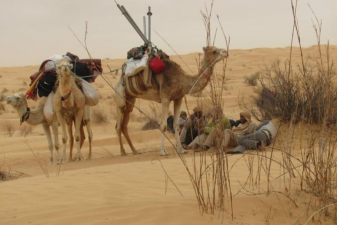 Camel ride and 1 night in the desert - Starting from Tozeur and heading toward Chott Djerid