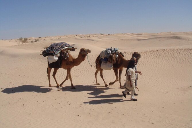 Camel ride and 1 night in the desert - Riding through dunes as the light changes