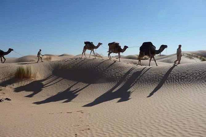 Camel ride and 1 night in the desert - Who will enjoy this desert night most
