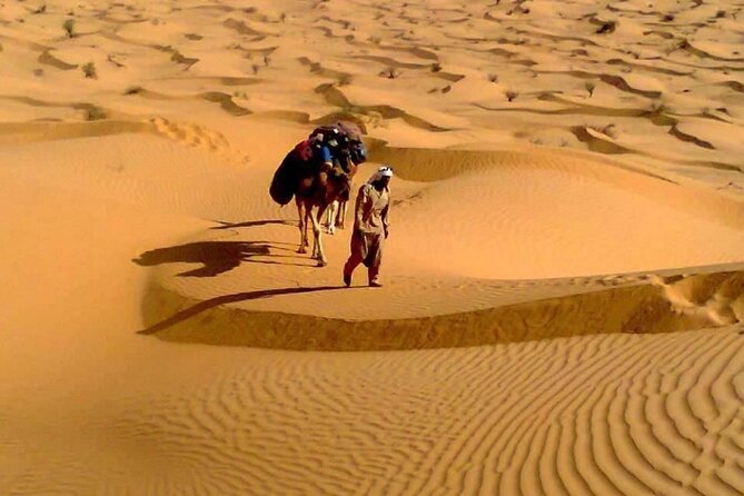 Camel ride and 1 night in the desert - Weather, cancellation, and simple planning advice