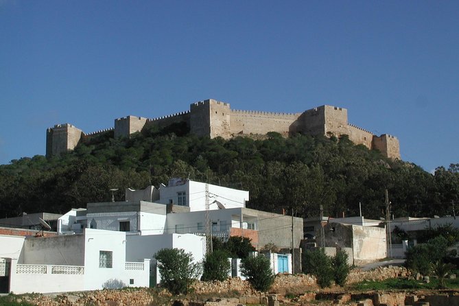Cap Bon Guided Day Tour from Tunis - Quick reasons to choose this Cap Bon day trip