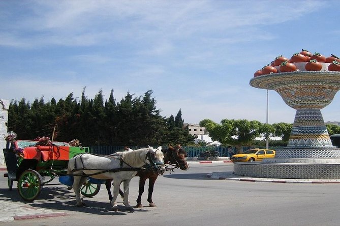 Cap Bon Guided Day Tour from Tunis - Why Cap Bon works well as a day from Tunis