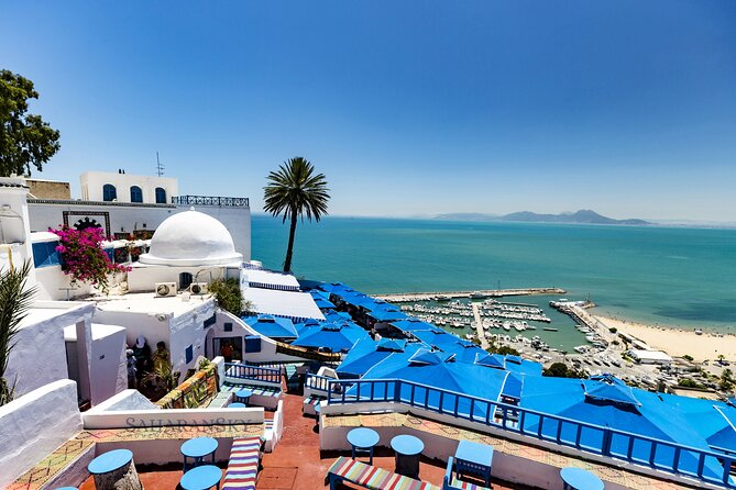 Carthage, Bardo Museum, Sidi Bou Said and Medina Private Day Tour - The aqueduct and Baths of Antoninus