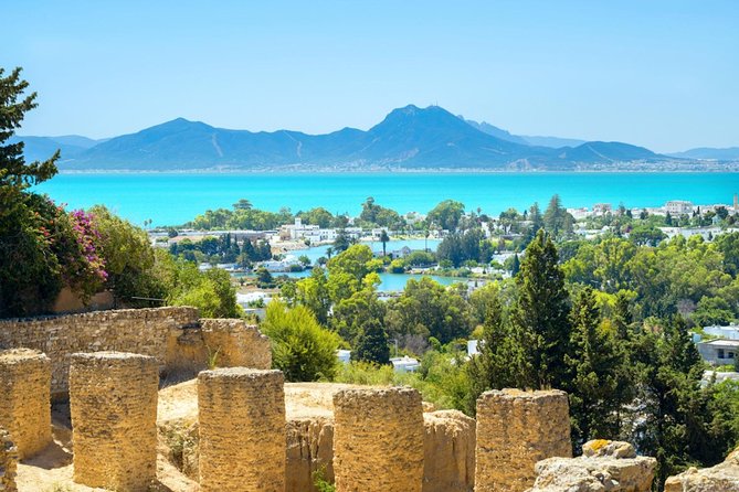 Carthage Discovery Half-Day Tour with Licensed Guide - Key points before you book