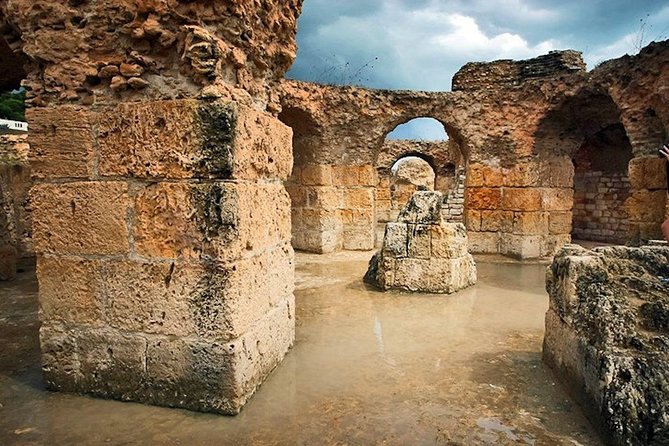Carthage Discovery Half-Day Tour with Licensed Guide - Why a private half-day works well at Carthage
