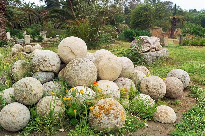 Carthage Discovery Half-Day Tour with Licensed Guide - The Punic Ports and Carthage’s trading power