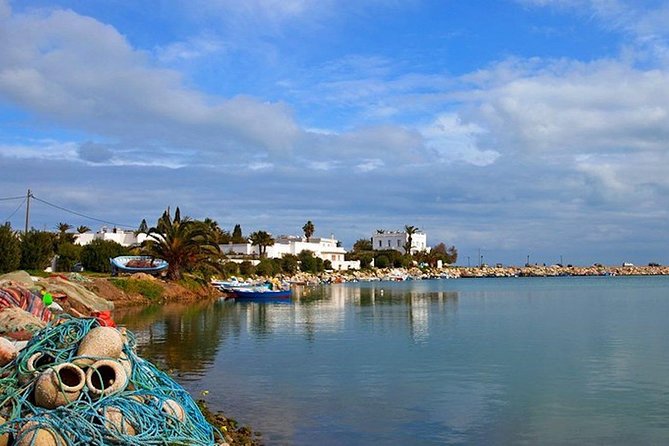 Carthage Discovery Half-Day Tour with Licensed Guide - How the timing feels in real use