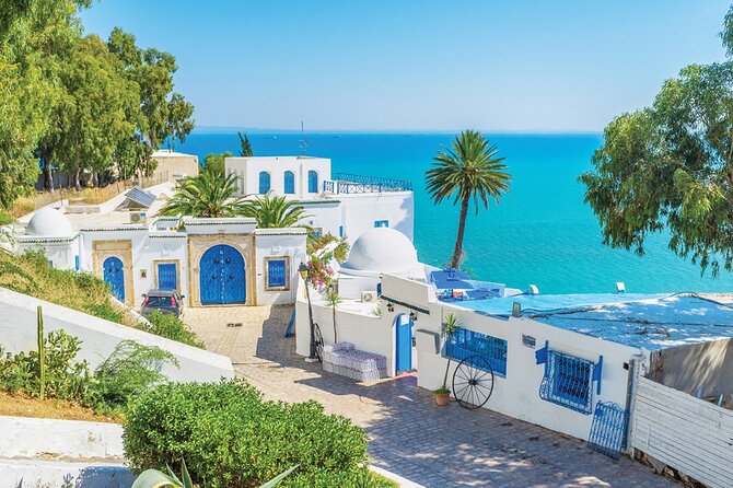 Carthage, Sidi Bousaid, and La Médina - Key points before you book