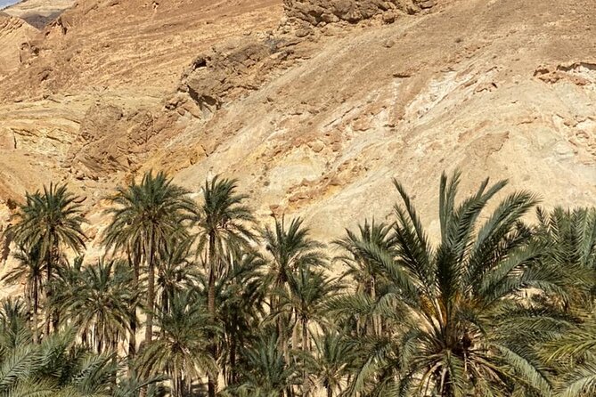 Circuit the south of Tunisia in 2 days Sahara Explorer - El Jem: Roman grandeur in one hour