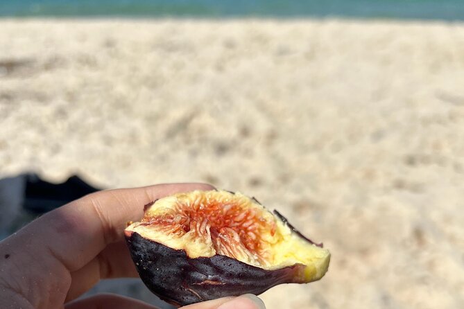 Cook and Connect: Tunisian Culinary Adventure with a Local Family - Timing, pickup, and small practical details