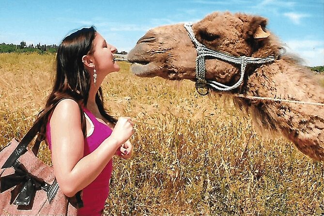 Cultural Experience of Bedouin Village in Mahdia - Key points to know before you go