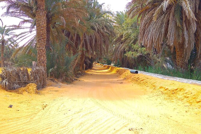 Day Trip in Ksar Ghilane with Lunch and Pickup - Key points at a glance