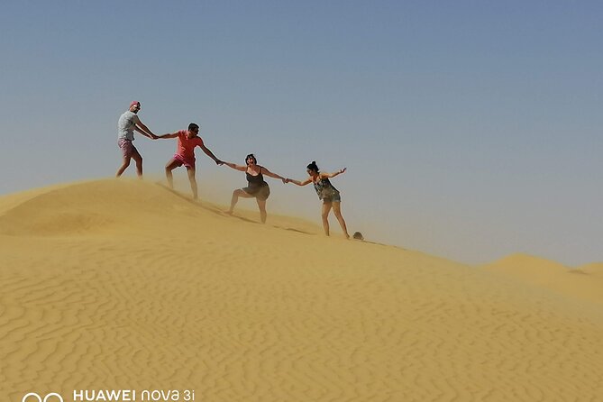 Day Trip in Ksar Ghilane with Lunch and Pickup - Ksar Ghilane: palm shade beside the Sahara
