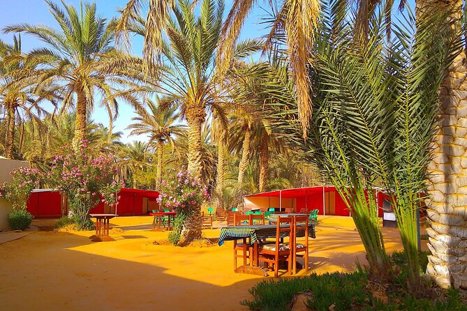 Day Trip in Ksar Ghilane with Lunch and Pickup - Crossing Médenine and the Jebel Daher
