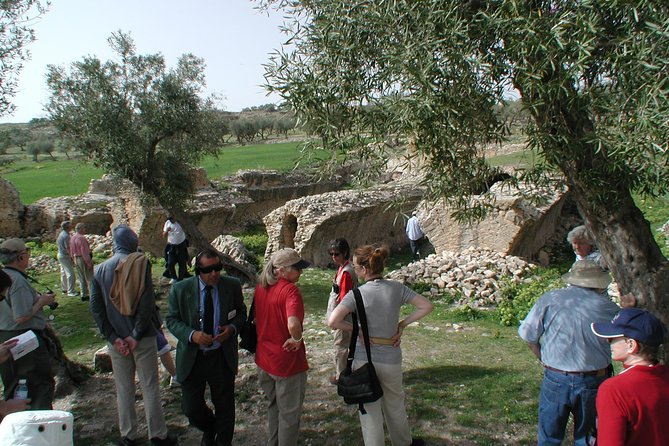 DAY TRIP TO Dougga & Bulla Regia , DEPARTURE FROM Tunis - Lunch and what is included for $175.29