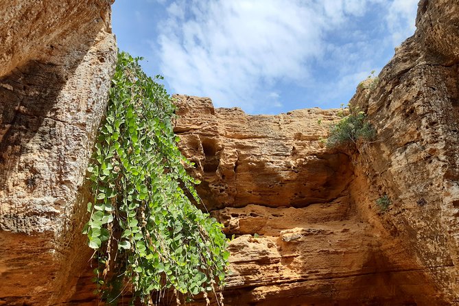 Daytrip to Kerkouen Unesco Site Kelibia and Houaria Caves - Why this Cape Bon day trip works