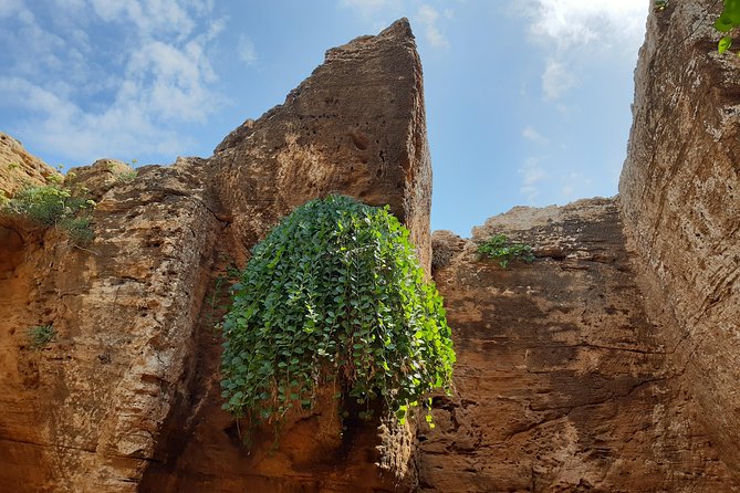 Daytrip to Kerkouen Unesco Site Kelibia and Houaria Caves - Booking advice and final call