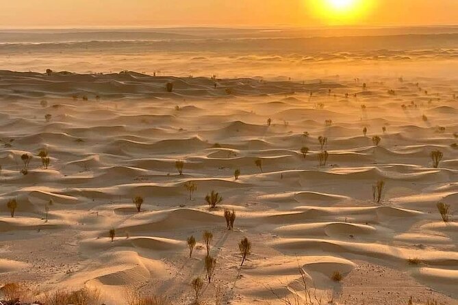 Desert tours and adventurous camel trekking through the Sahara - Why this Sahara trip is different from a short camel ride